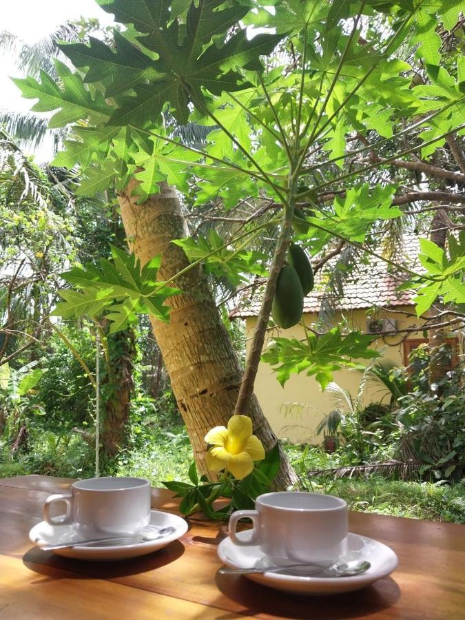 Phu Quoc Pomelo Garden Apartment Luaran gambar