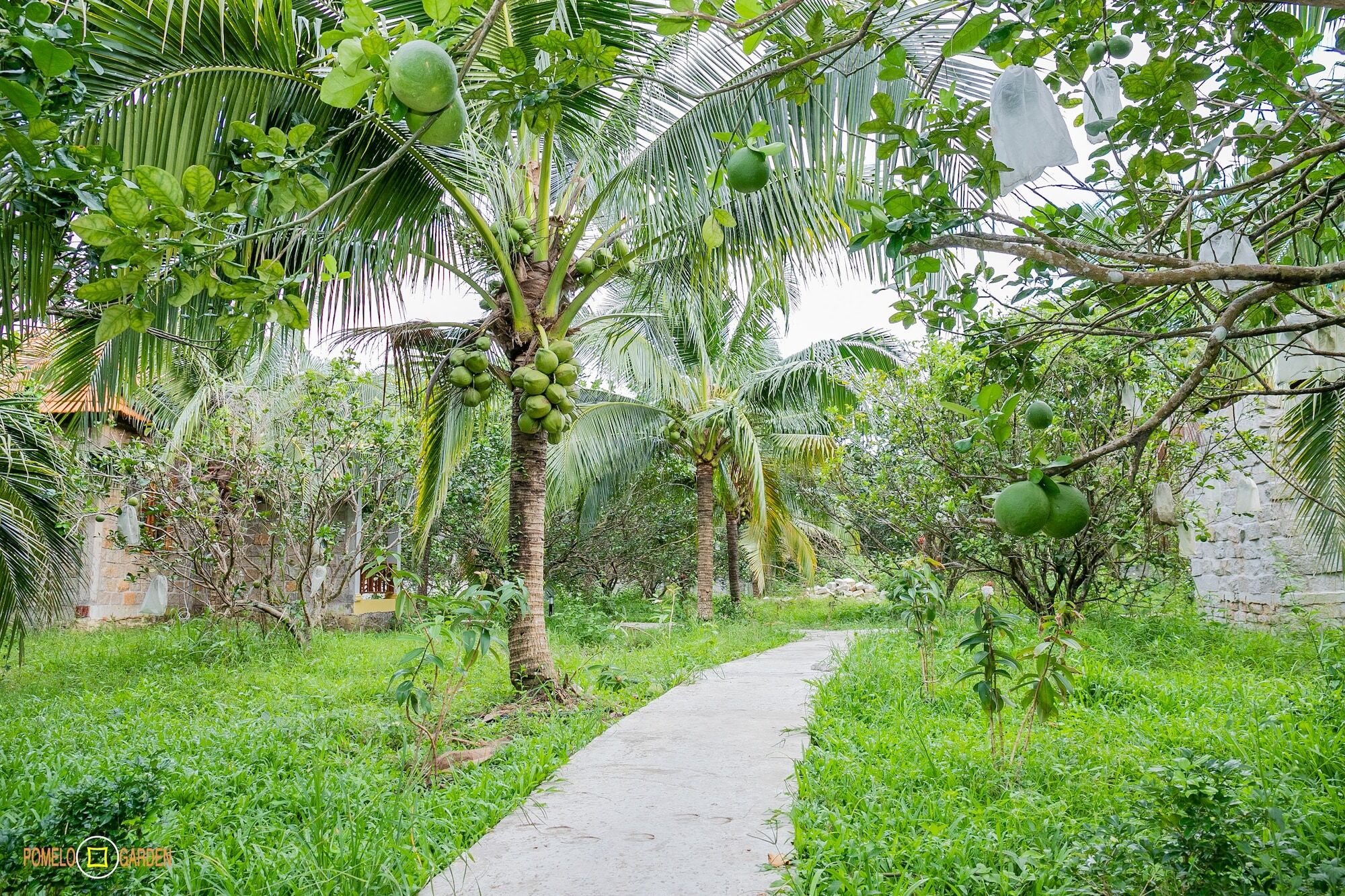 Phu Quoc Pomelo Garden Apartment Luaran gambar
