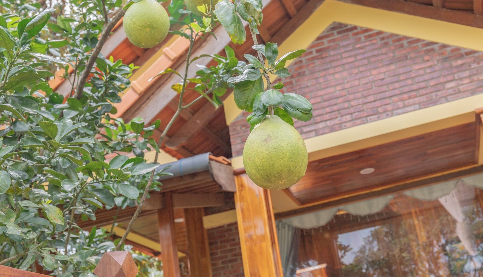 Phu Quoc Pomelo Garden Apartment Luaran gambar